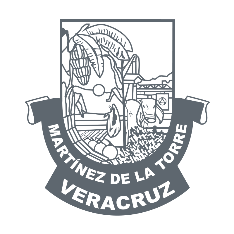 H. Ayuntamiento de Martínez de la Torre 20222025