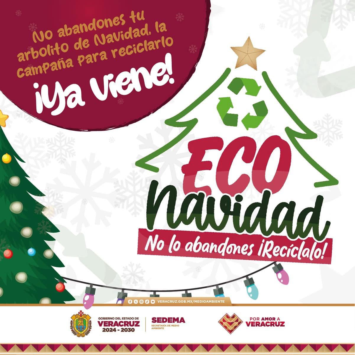 Instalarán centros de acopio para reciclar arbolitos de navidad