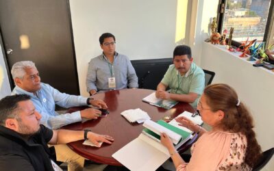 Gestión ambiental para mejorar el relleno sanitario