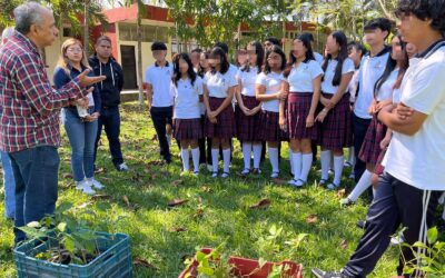 Fomento a la conciencia ambiental